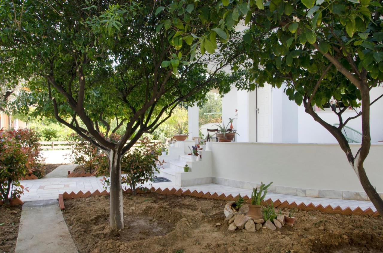 Garden House Palaio Faliro 아테네 외부 사진