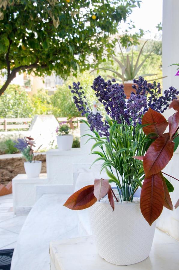 Garden House Palaio Faliro 아테네 외부 사진
