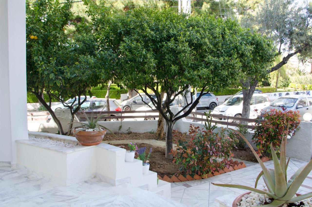 Garden House Palaio Faliro 아테네 외부 사진