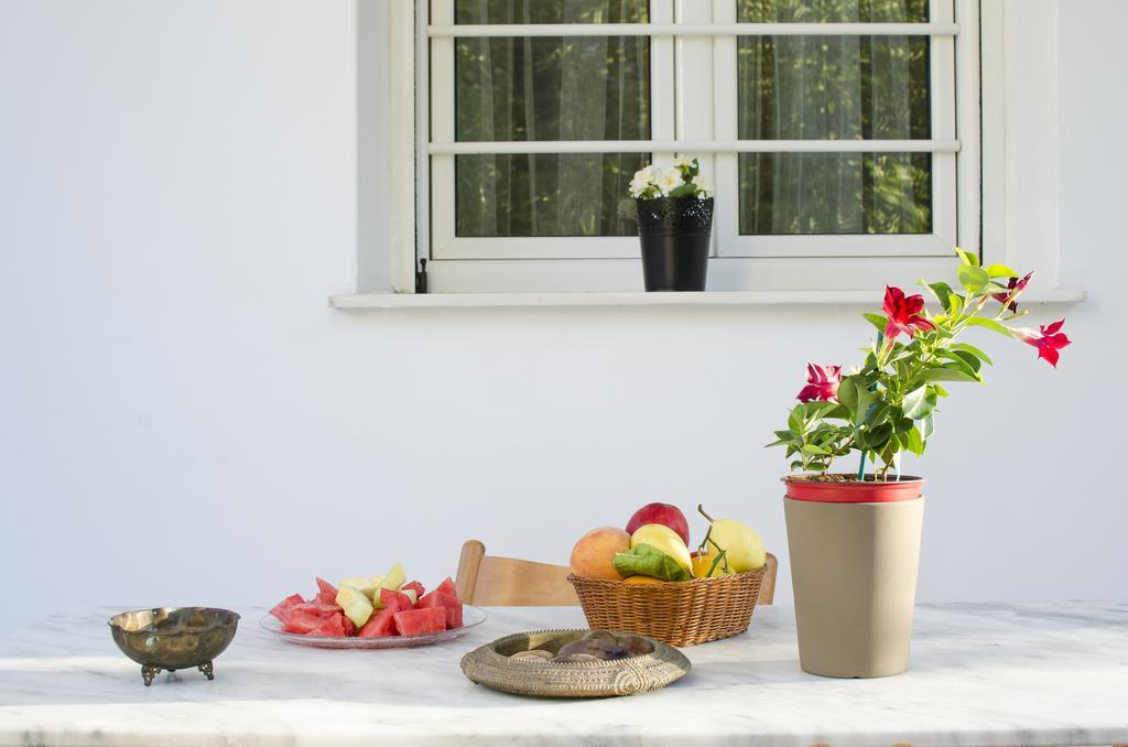 Garden House Palaio Faliro 아테네 외부 사진